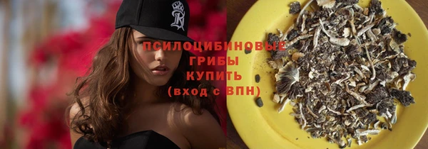 альфа пвп Саяногорск
