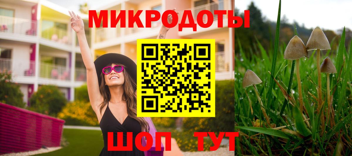 Галлюциногенные грибы GOLDEN TEACHER Ирбит